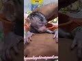 Newborn Baby Monkey Chika bathing with GrandMa after long time cause accompany Mother in Hospital