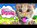 CARTOON LITTLE KITTEN ADVENTURE -Little Kitten Adventures-Play Fun Cute Kitten Pet Care Learning #12