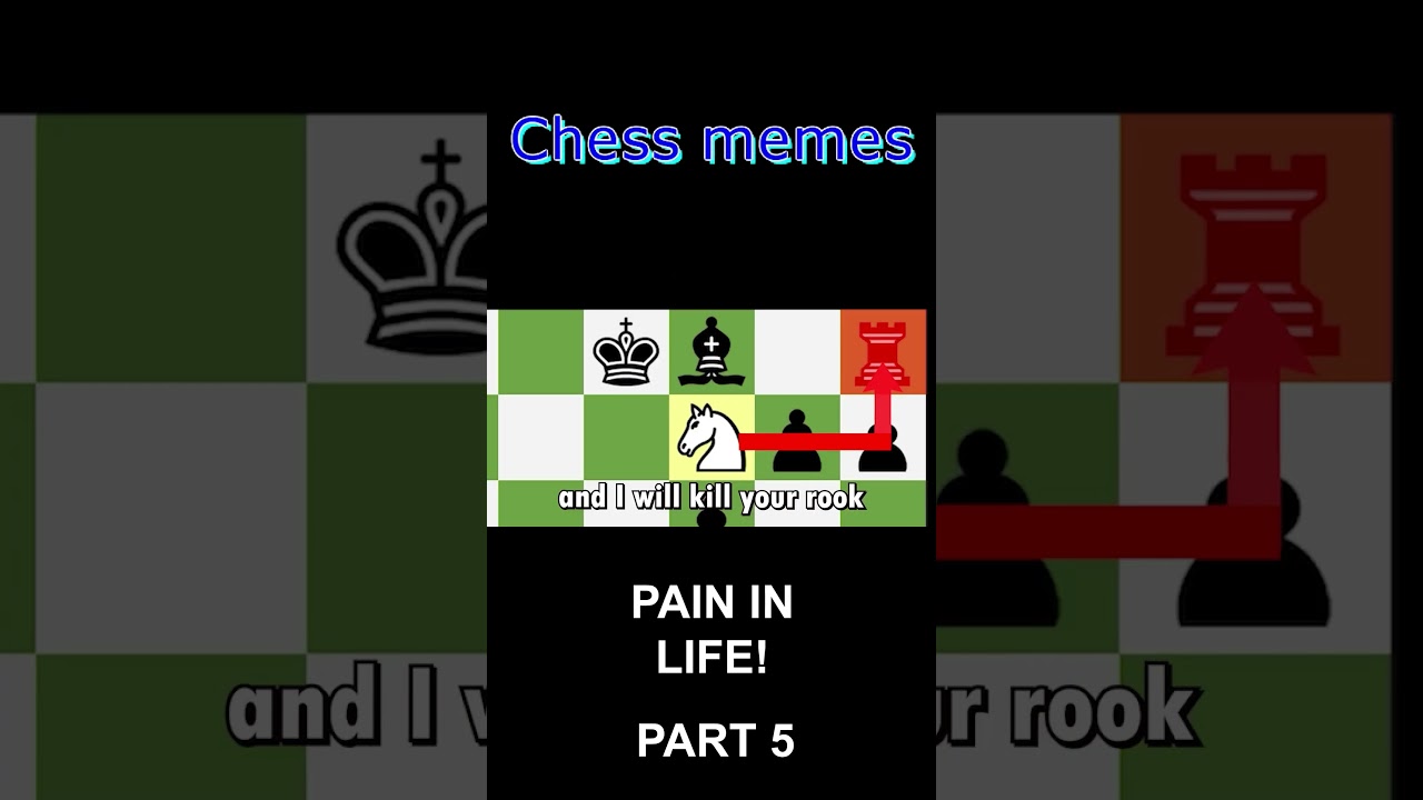 Chess meme : r/chessmemes