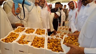 #سوق حراج التمور في المدينه المنورة🇸🇦 بداية نزول الرطب في المدينة🌴🌴