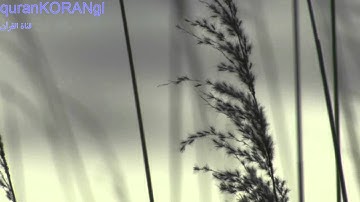 سمير البشيري تلاوة من بداية الحجرات