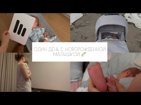 ДЕНЬ С НОВОРОЖДЁННЫМ 🐣