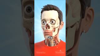 WHY DOES YOUR NOSE RUN WHEN YOU CRY #humanbody