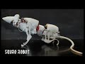 चूहा रोबोट जिसके करनामे देख दंग रह जायेंगे | Squro Robot | Technicalkishoreji