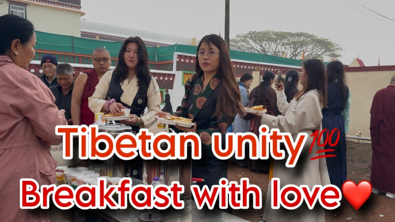 From Heart to Plate ❤️ || 7town Gorshay Group Volunteers Serving Breakfast🍞☕️