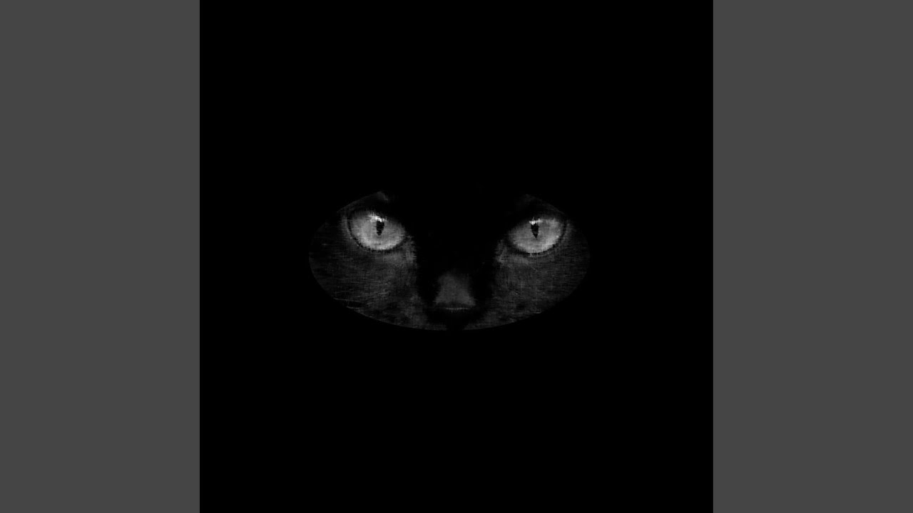 Watch BLACK CAT on YouTube Watch BLACK CAT on YouTube