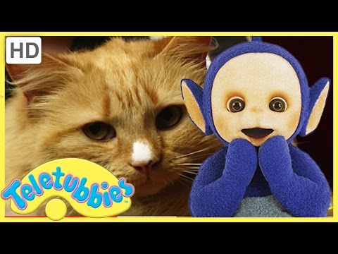 Teletubbies Full Episode - Cat's Night Out