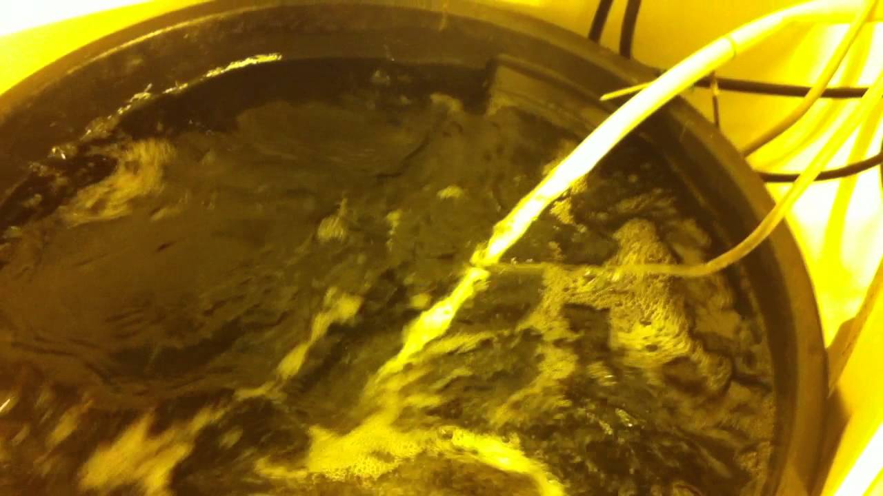 Mixing The Cyco Line