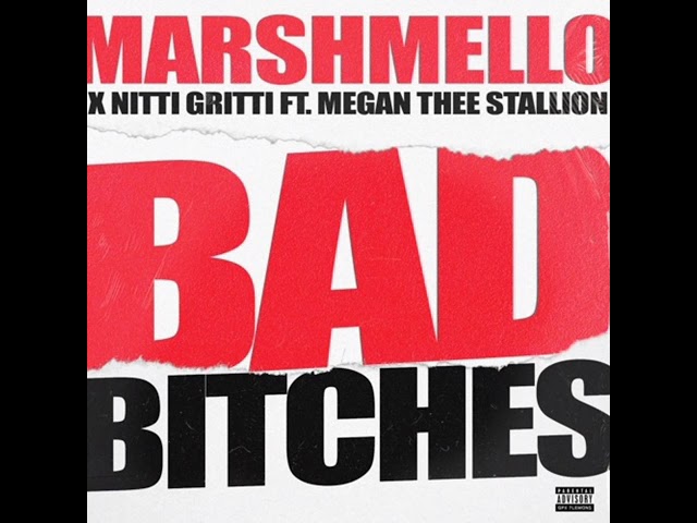 Marshmello x Nitti Gritti - Bad Bitches (Feat. Megan Thee Stallion) class=