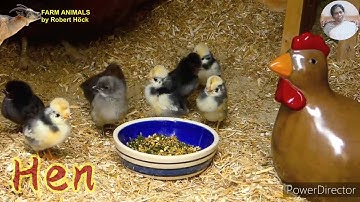 Class 2     EVS    "Our Environment".   Part 1