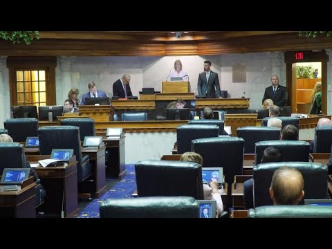 Indiana Senate begins work on abortion ban bill July 25, 2022