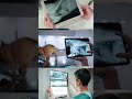 comedi #comedy #trending #vairal #comedyshorts #shorts