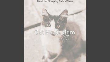 Pulsating Backdrops for Cute Cats