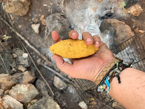 Cómo hacer un polcán de tuxel cocina tradicional Yucatán chef Wilson Alonzo