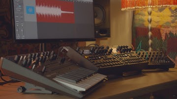 Stefan Torto - Resolve (Live)