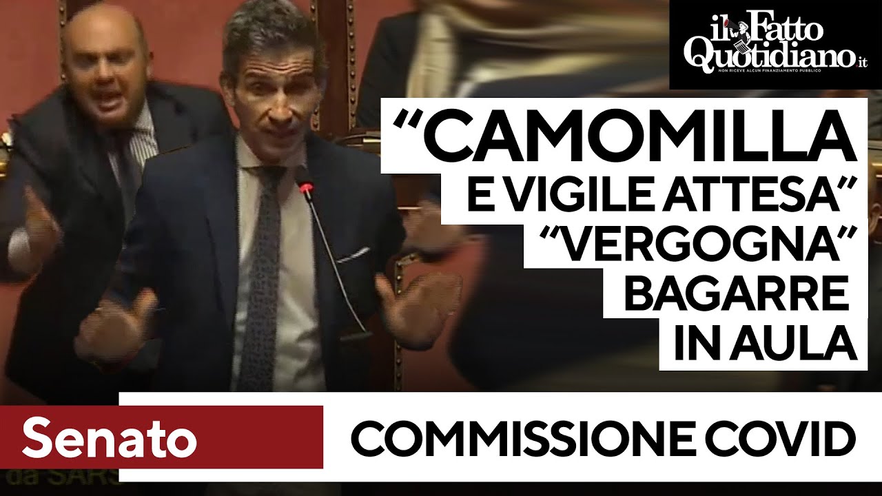 Commissione Covid, FdI all'attacco di Conte e Speranza: 