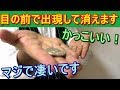 【種明かし】最強のコインの消し方です【プロもよくやる】magic tutorial