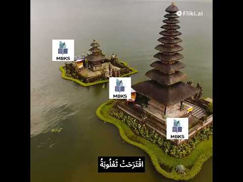 غابة العجائب الصف الثالث الجزء الأول