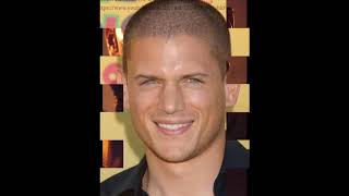 Вентворф Миллер (Wentworth Miller) Вентворф Миллер (Wentworth Miller)