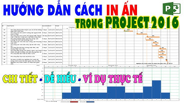 Hướng Dẫn In Ấn Trong Project 2016 Cực Kỳ Chuyên Nghiệp | Ví dụ minh họa: Lập Tiến Độ Nhà Phố 4 Tầng