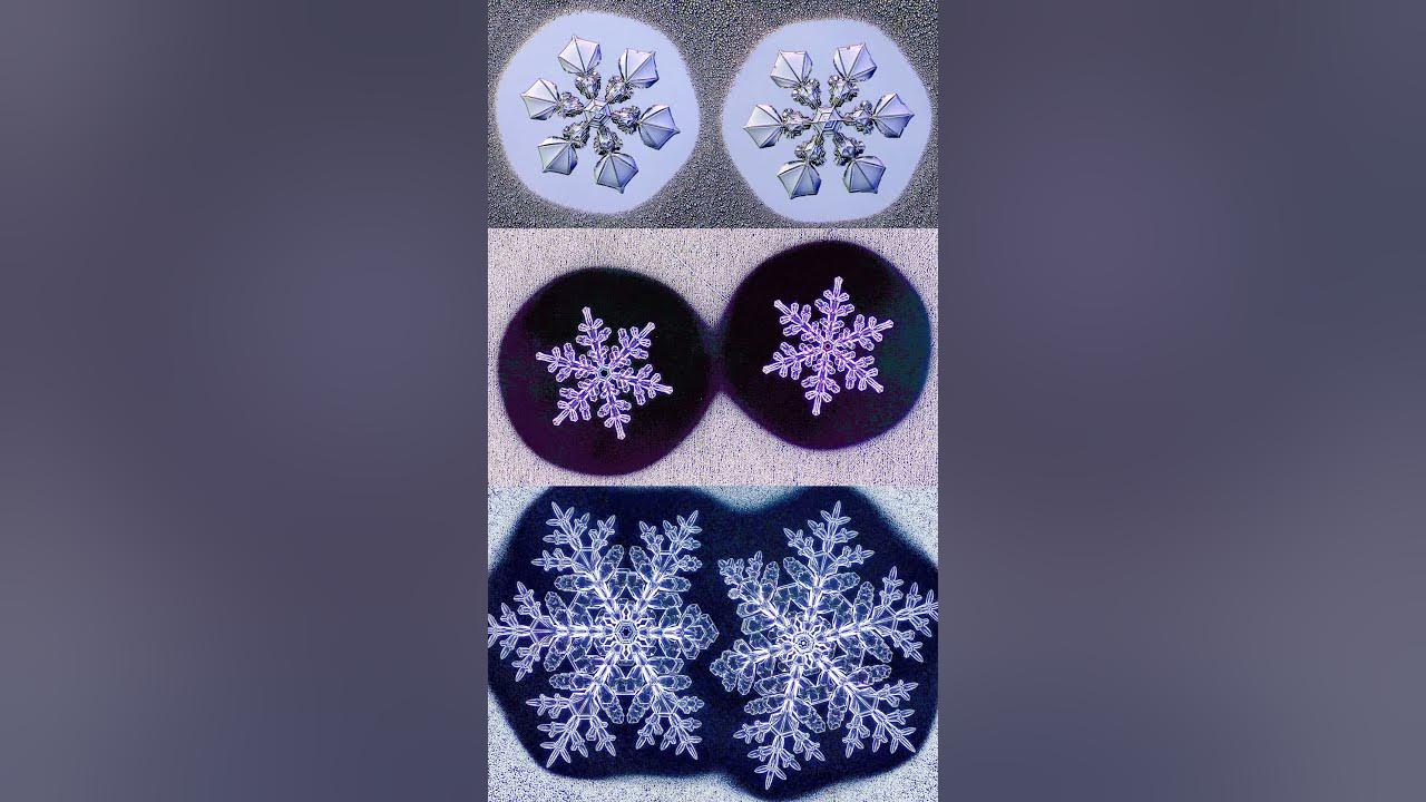 Is every snowflake actually unique youtube