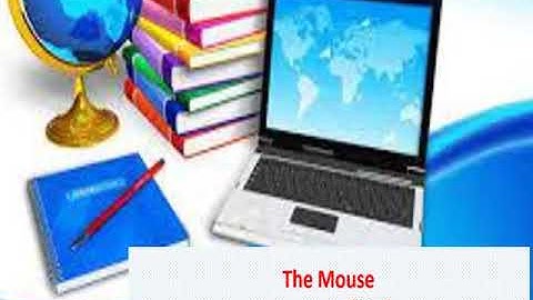 28/11/2020|| class 2|| sub computer|| chapter 7|| The Mouse