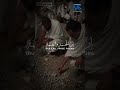 Beautiful Talbiyah (Labbaik Allahumma Labbaik) – Heart Touching Islamic Reminder