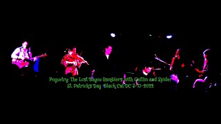 Video thumbnail of "Poguetry   "Streams of Whiskey"  St Patrick's Day Show"