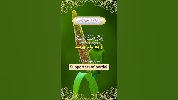 او اگر زنان تان را طلاق دادید،! ترجمه فارسي سوره مبارک بقره آیه ۲۳۱☝️🤲❤️🕋