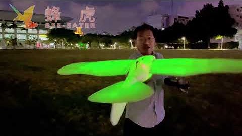 Ornithopter Bionic Bird