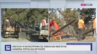 Μεγάλη καταστροφή σε Οινόη και Μαγούλα - Καμένα σπίτια και εκτάσεις | 20/7/2023 | ΕΡΤ