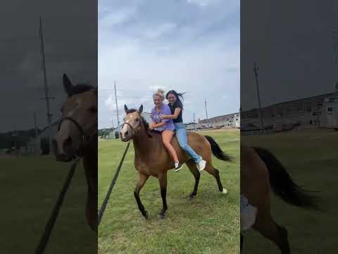 Two girls are riding on a horse, and they both fall off!