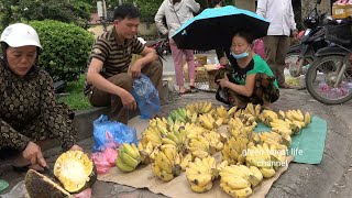 Robert sells bananas in Tuyen Quang city. Robert | Green forest life