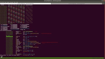Radare2 Tutorial 6 - Debugging Binaries