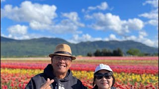 Daddy Ben and Mommy Nitz trip to the Tulip festival in Abbotsford BC