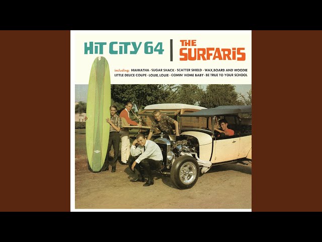 Surfaris - I Wanna Take A Trip To The Islands