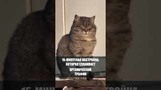 15-минутная настройка, которая удваивает органический трафик
