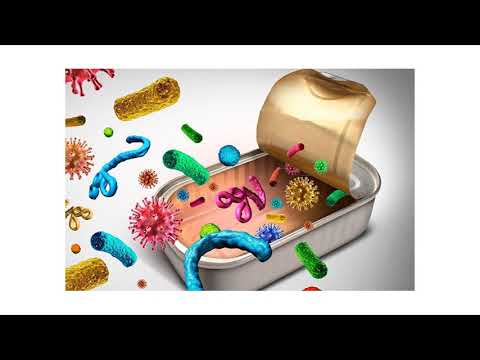 Video: ¿Las bacterias anaerobias necesitan catalasa?