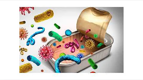 ¿Cómo se producen las bacterias anaerobias?