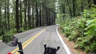 2021 Honda Crf 300L Rally tour of The Avenue of the Giants in Nor Cal