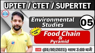 EVS for CTET | UP TET | Food Chain | Ecological pyramids 5 | EVS Classes | EVS by Ankit Sir