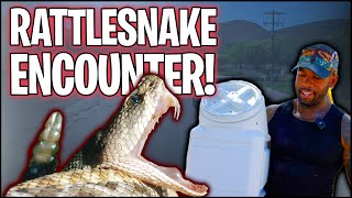 RATTLESNAKE ENCOUNTER AT THE WYLD JUNGLE! | THE REAL TARZANN