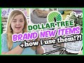 Grab these BRAND NEW items for the BEST DIYS! *NEW* Dollar Tree DIYS 2022 | Krafts by Katelyn