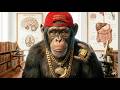 EL PRIMATE PENSANTE 🐒 (Rap del Primate + Dos por Uno) | Hip-Hop y Ciencia de Barrio