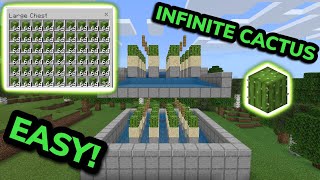 SIMPLE 1.20 AUTOMATIC CACTUS FARM TUTORIAL in Minecraft Bedrock (MCPE/Xbox/PS4/Nintendo Switch/PC)