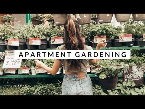 Top 5 Beginner Tips For Apartment Gardeners | Aja Dang + Epic Gardening