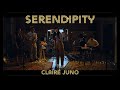 Serendipity - Albert Posis (Cover by Claire Juno)