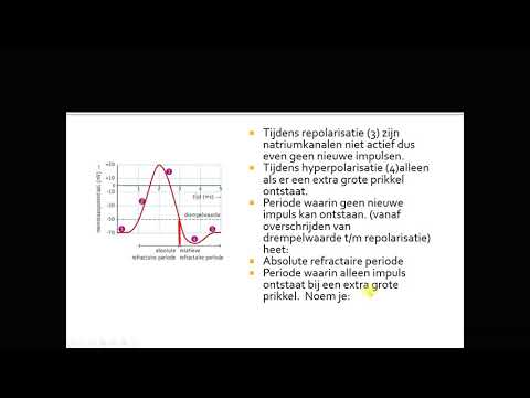 Video: Wat is een andere naam voor de celmembraanquizlet?