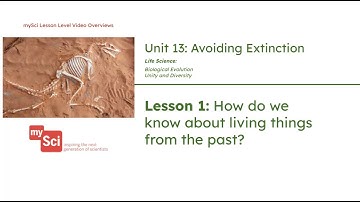 Unit 13 Lesson 1 Video