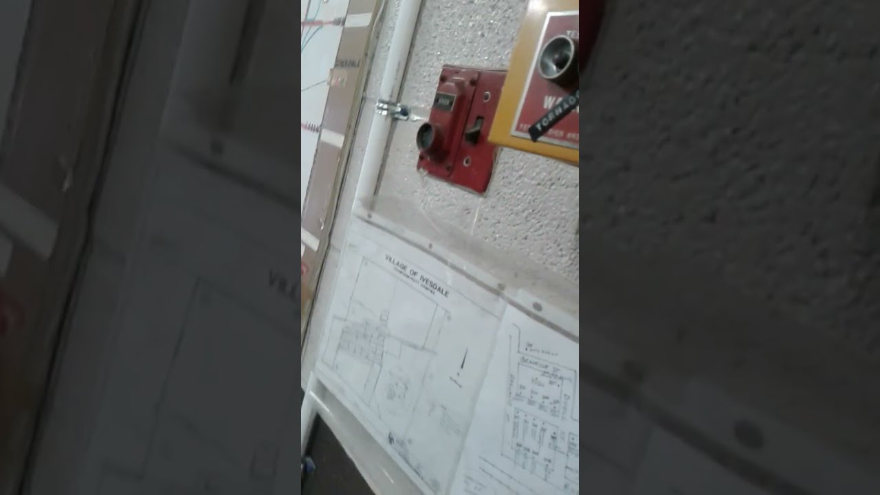 Inside View Of Me Growling Bements 1003A After Check Up